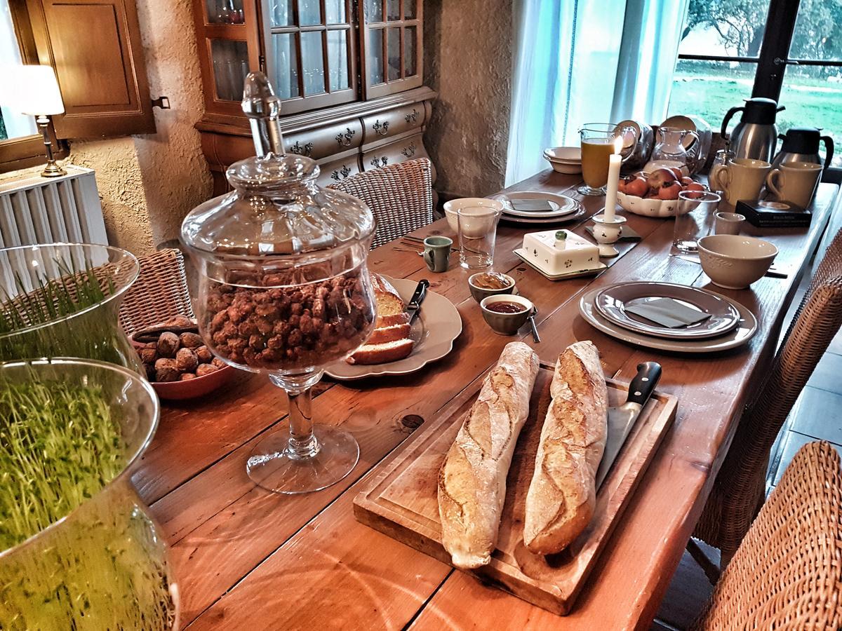 Bed and Breakfast Le Domaine Saint Martin à Flassans-sur-Issole Extérieur photo