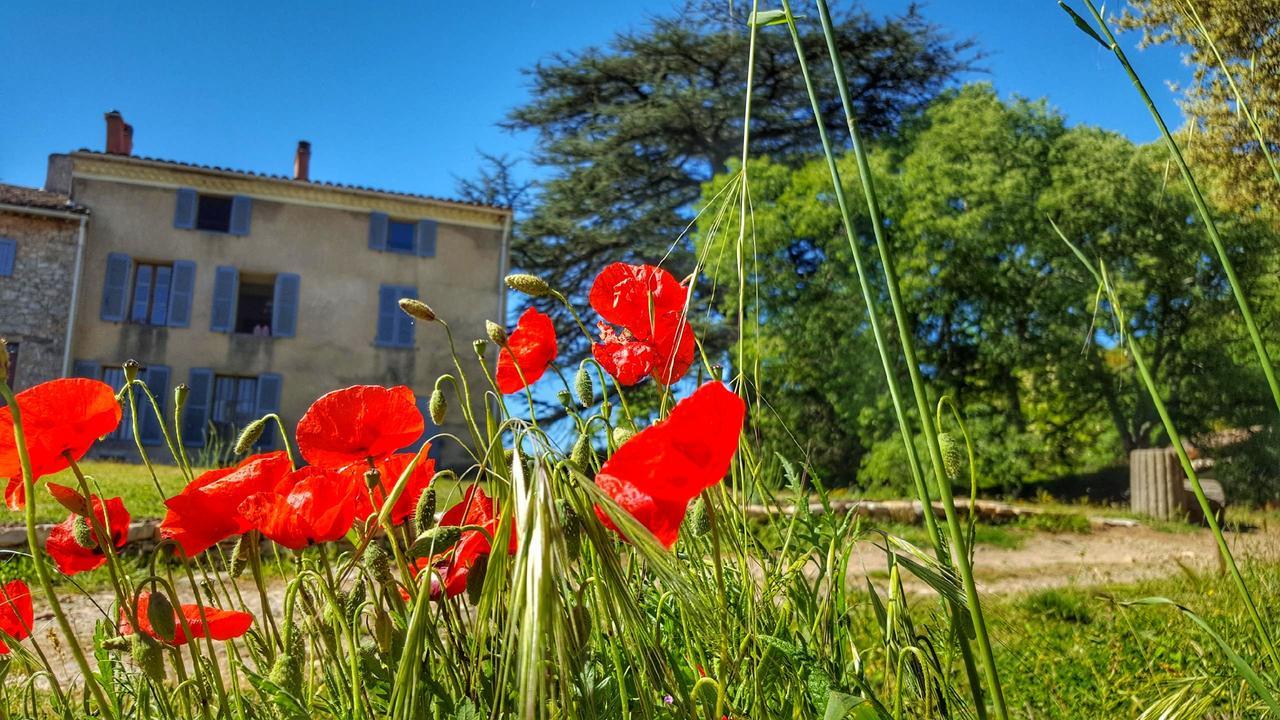 Bed and Breakfast Le Domaine Saint Martin à Flassans-sur-Issole Extérieur photo